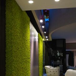 Smart acoustic green